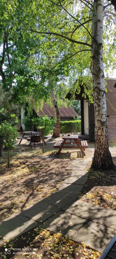 Rybarska Basta Vikletice - Nechranice Villa Kwon Exterior foto